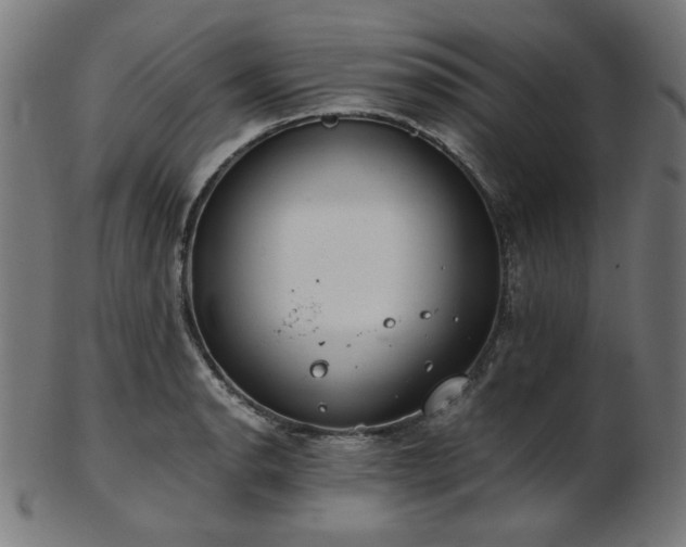 X0000103481134200809121644