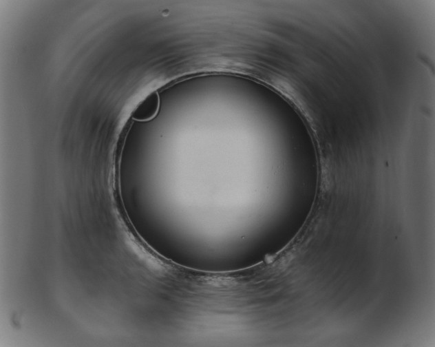 X0000103481136200809121644