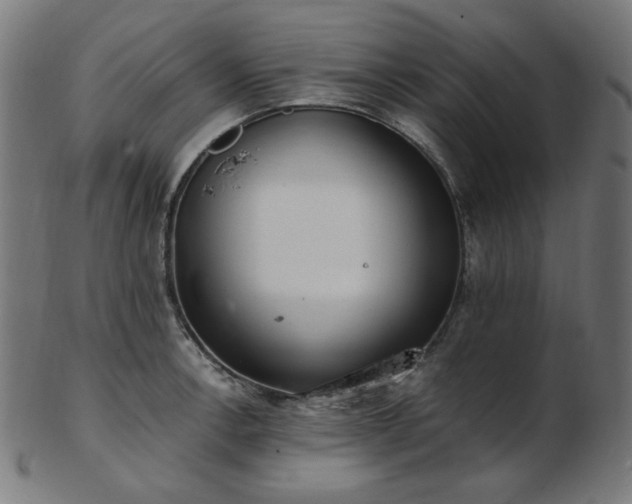 X0000103481138200809121644