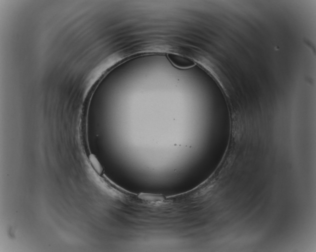 X0000103481139200809121644