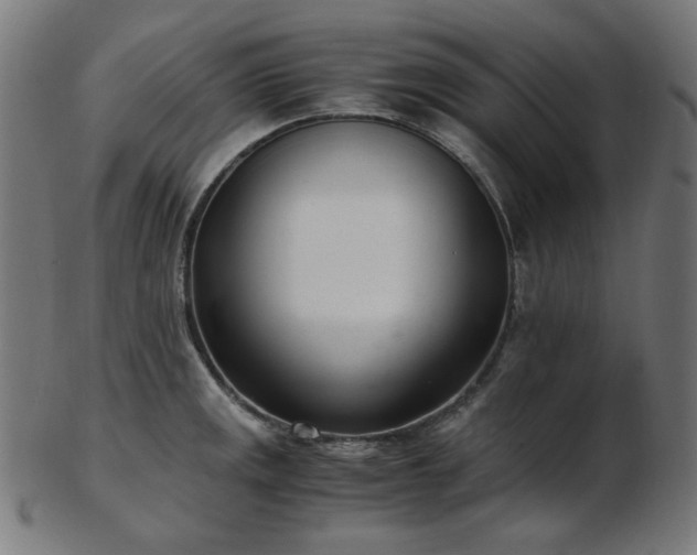 X0000103481141200809121644