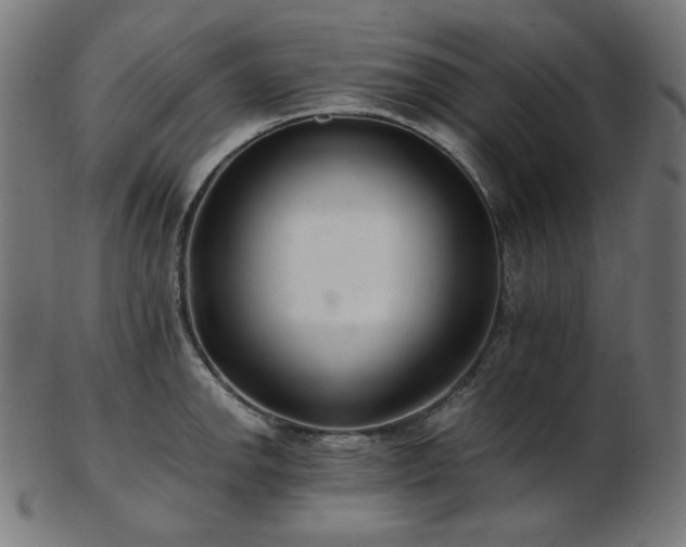 X0000103481142200809121644