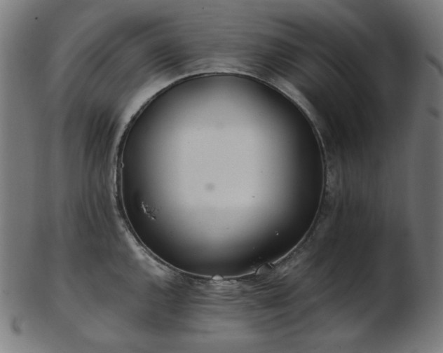 X0000103481144200809121644