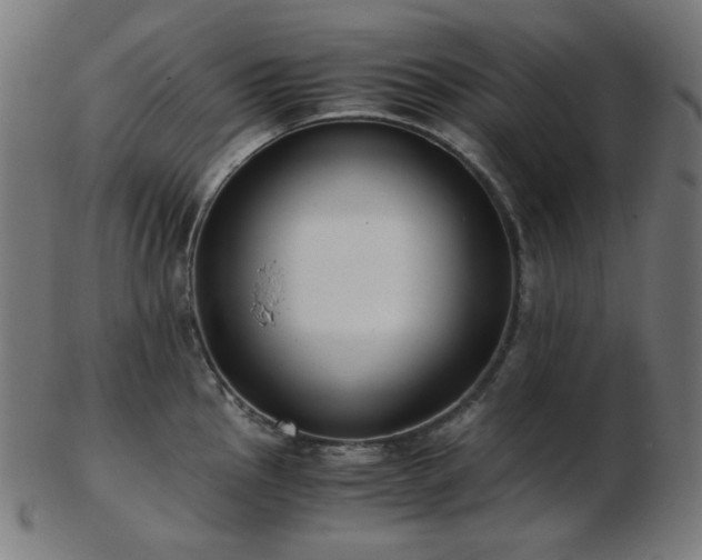 X0000103481145200809121644