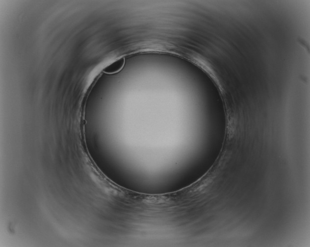 X0000103481146200809121644