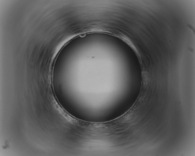 X0000103481148200809121644