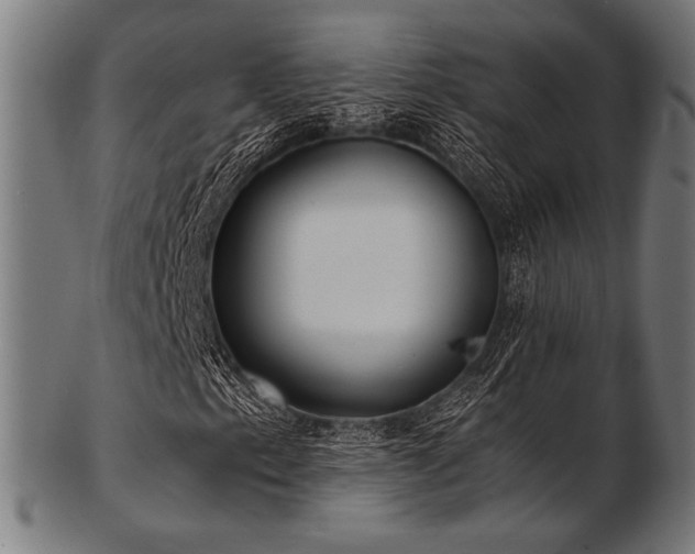 X0000103481153200809121644