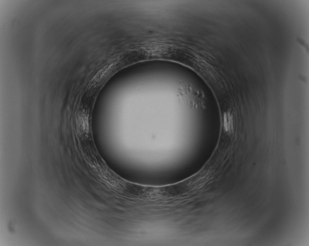 X0000103481155200809121644