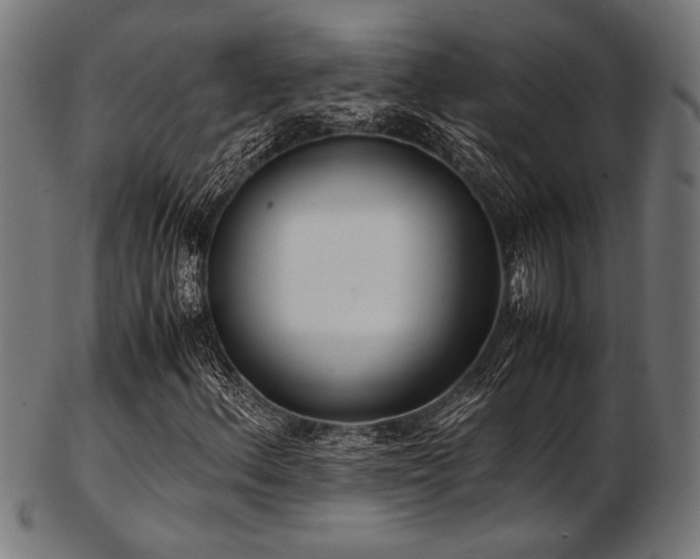 X0000103481156200809121644