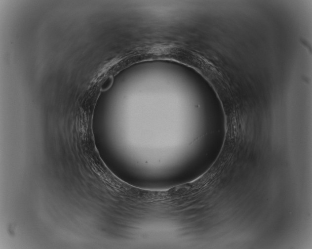 X0000103481158200809121644