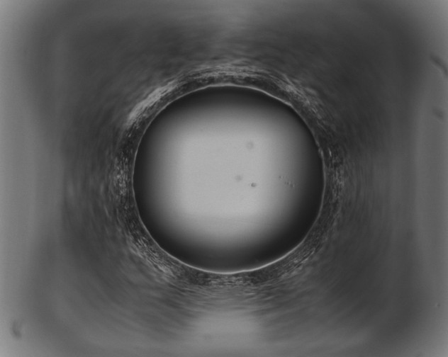 X0000103481159200809121644