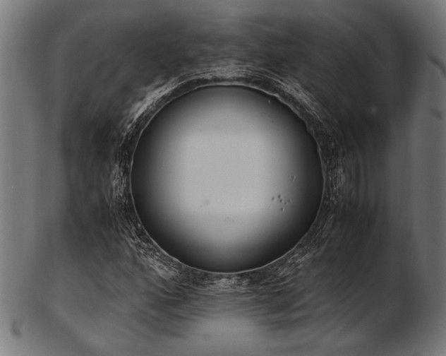 X0000103481160200809121644