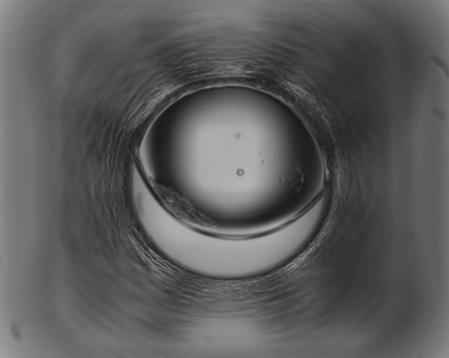 X0000103481161200809121644