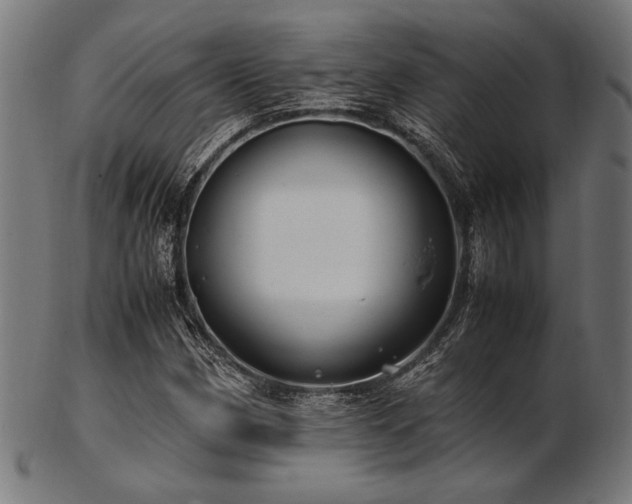 X0000103481162200809121644