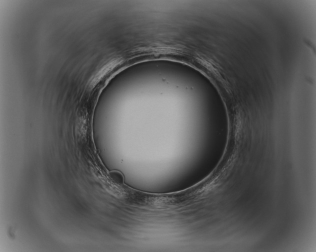 X0000103481163200809121644