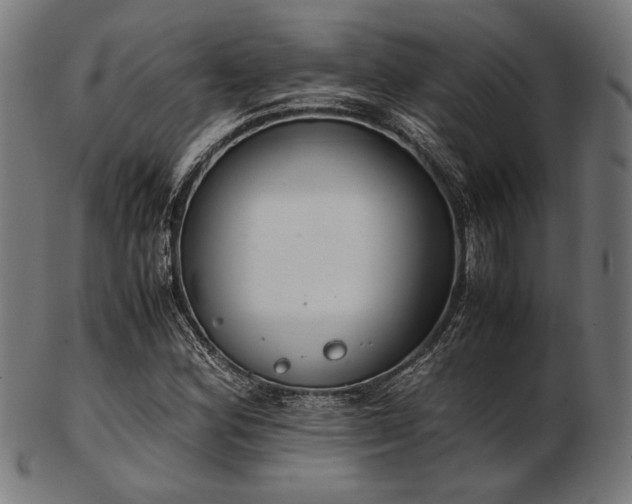 X0000103481164200809121644