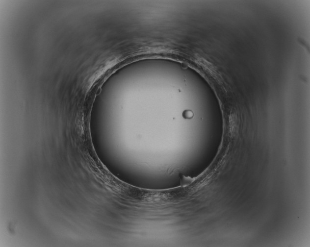 X0000103481165200809121643