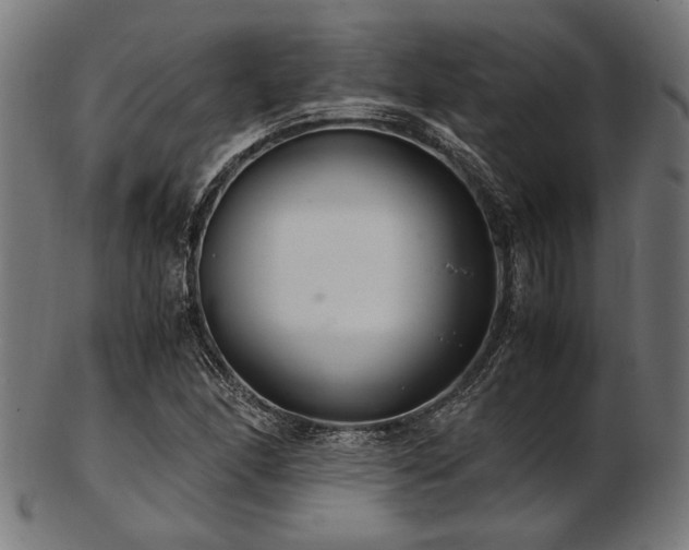 X0000103481166200809121643