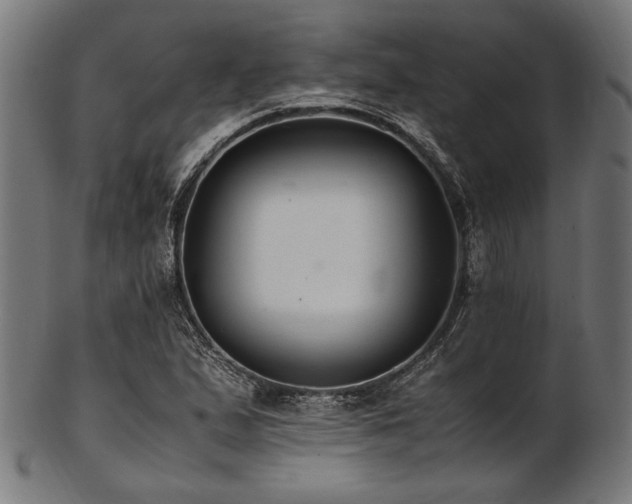X0000103481167200809121643