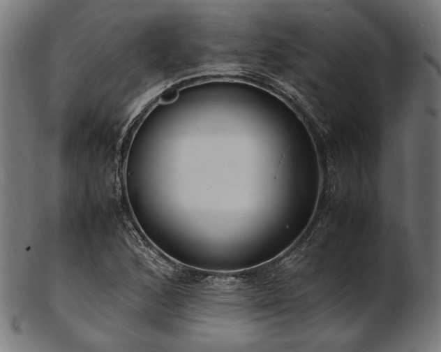 X0000103481168200809121643