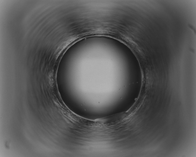 X0000103481170200809121643