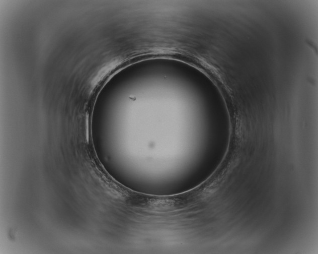 X0000103481171200809121643