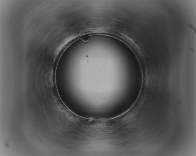 X0000103481174200809121643