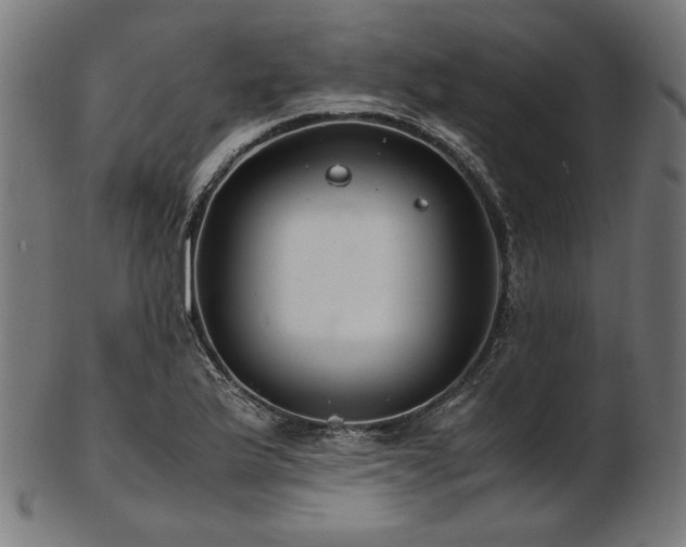 X0000103481175200809121643