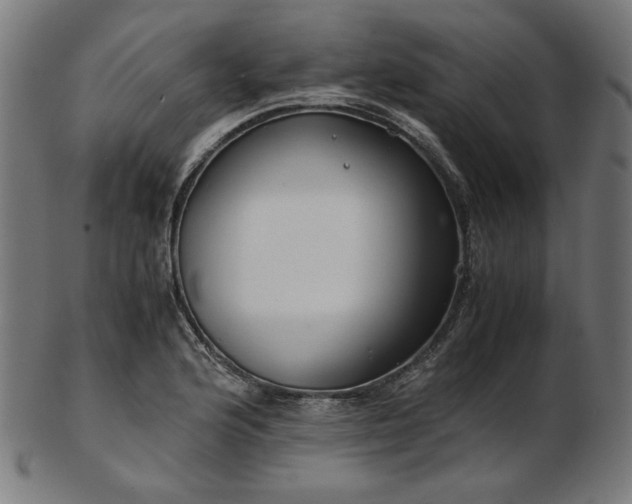 X0000103481176200809121643