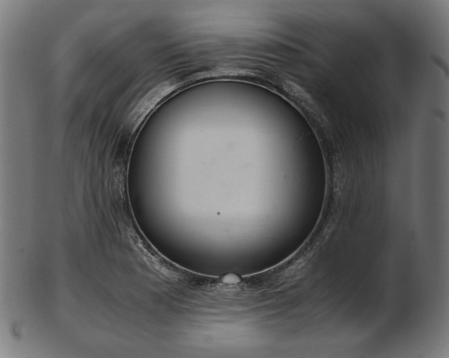 X0000103481177200809121643