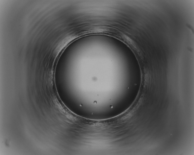 X0000103481178200809121643