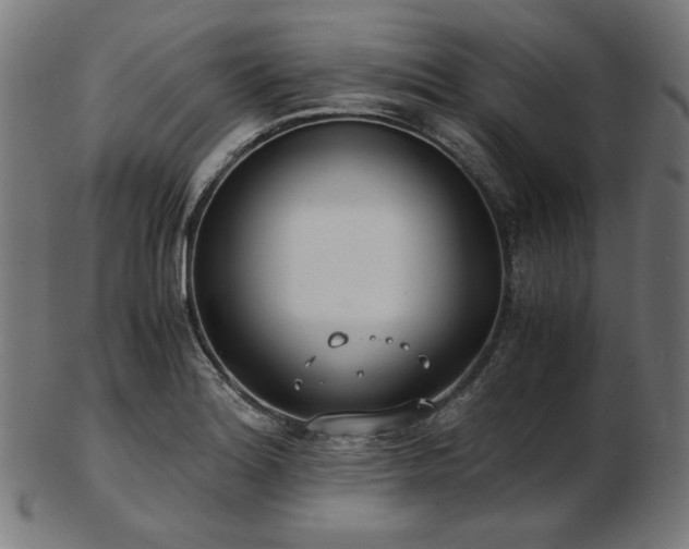 X0000103481180200809121643