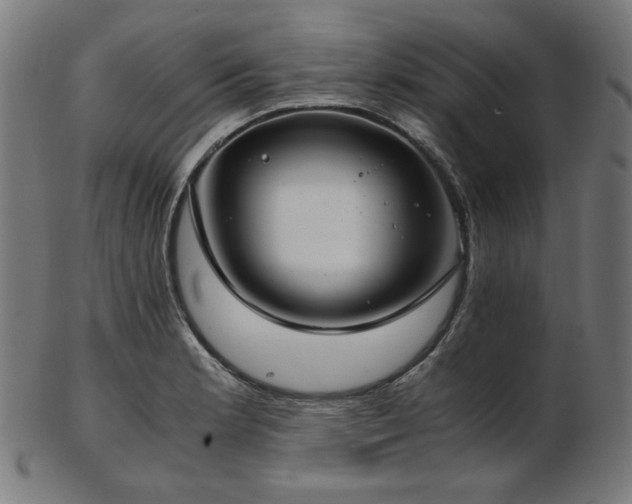 X0000103481181200809121643
