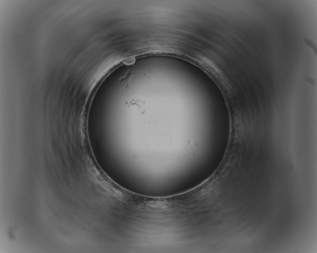 X0000103481182200809121643