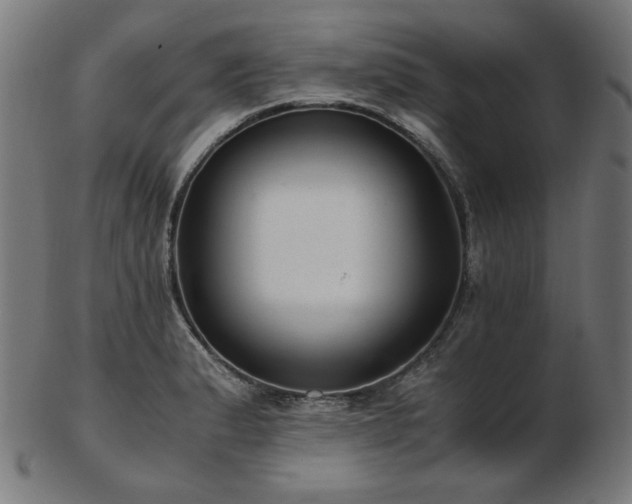 X0000103481183200809121643