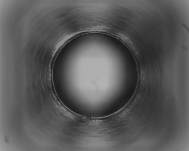 X0000103481184200809121643