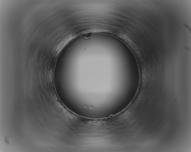 X0000103481185200809121643