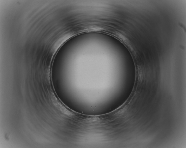 X0000103481186200809121643