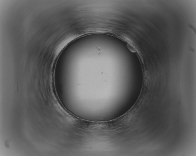 X0000103481187200809121643