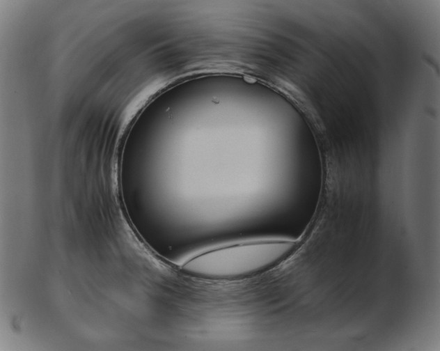 X0000103481188200809121643