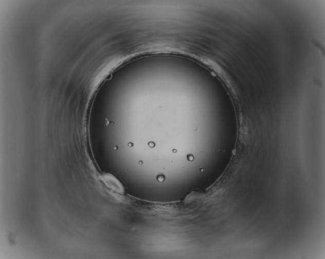 X0000103481191200809121643