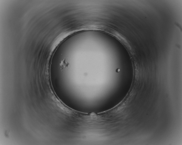 X0000103481192200809121643