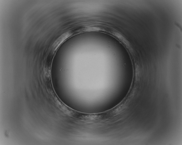 X0000103481193200809121643