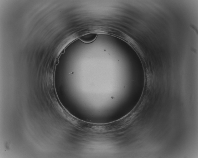 X0000103481194200809121643