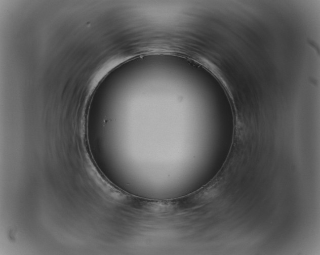X0000103481195200809121643