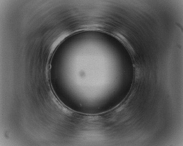 X0000103481196200809121643
