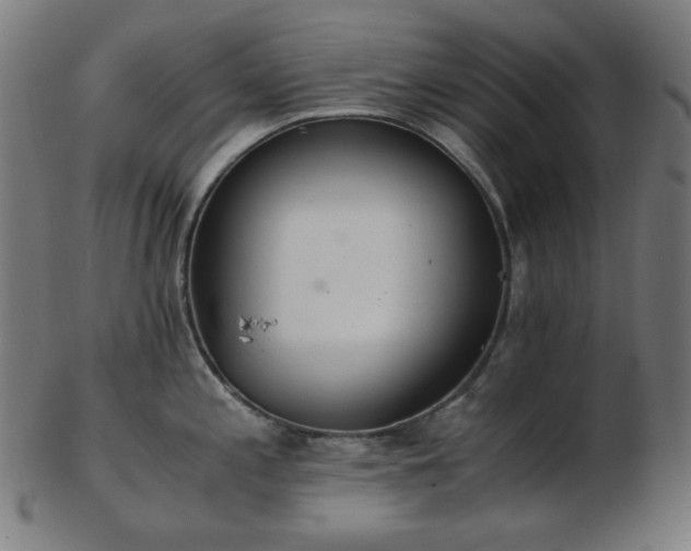 X0000103481197200809121643