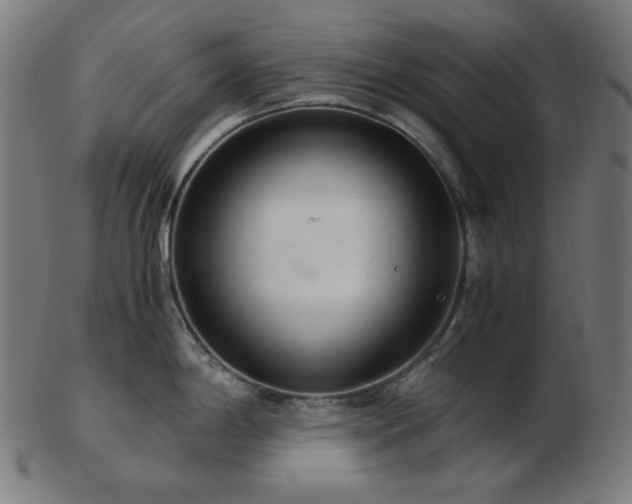 X0000103481198200809121643