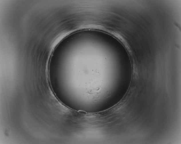 X0000103481199200809121643