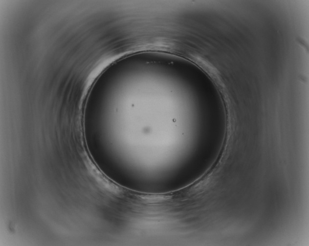 X0000103481200200809121643